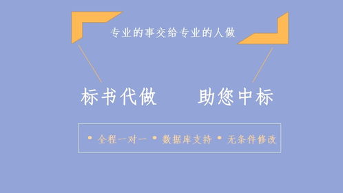 成都專業(yè)項目計劃書撰寫、報告定制與項目策劃公關(guān)一體化服務(wù)指南
