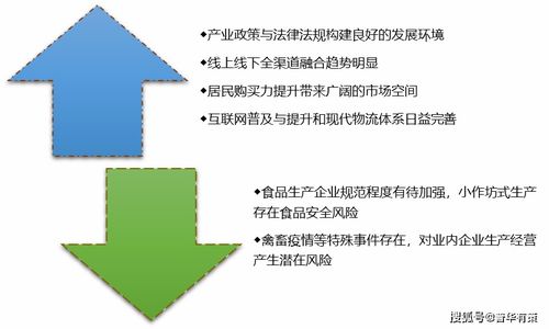 休閑食品行業(yè) 風(fēng)口下的機(jī)遇與挑戰(zhàn)并存